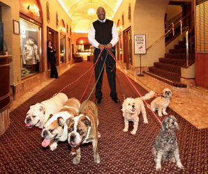 Raleigh Hotels
