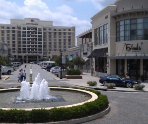 Raleigh Attractions