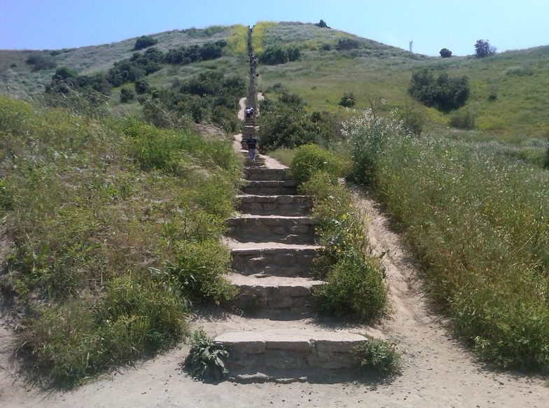 working out in los angeles