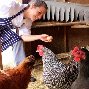 Chef Katherine Stern shows chickens some tender loving care and picks up an egg too. Photo by Chip Scheuer.