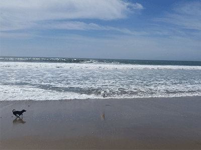 Little Wind and Sea big - Santa Cruz bodysurfing