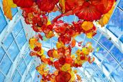 Chihuly Garden and Glass Exhibit in Seattle logo