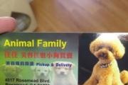168 Pet Grooming & Supplies logo