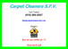 Carpet Cleaners Sfv logo