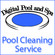 Digital Pool & Spa logo