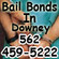 Downey Bail Bonds logo