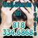 Glendale Bail Bonds | Glendale Police DepartmenT‎ Jail logo
