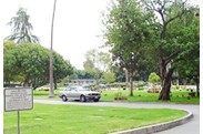 Westwood Village Memorial Park Cemetary logo