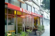 Blossom Restaurant logo