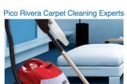 Fresh N Clean Carpet Care logo