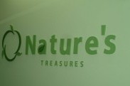 Nature's Treasures logo