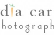 Media Carrot Photography logo