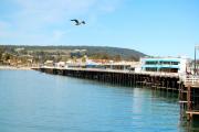 Santa Cruz Municipal Wharf logo