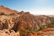 Indian Canyons by Jeep plus Hiking Tour from Palm Springs logo