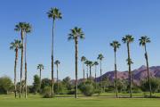 Palm Springs and Outlet Shopping Day Trip from Los Angeles