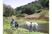 Coast Road Stables in Santa Cruz