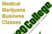 420 College Reviews logo