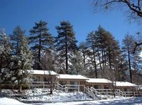 Pine Woods Resort