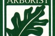 Arbor Doctor logo