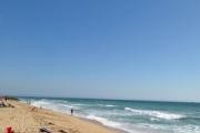 Bolsa Chica State Beach logo