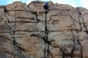 The Climbing Life Guides - Joshua Tree logo