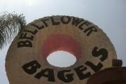 Bellflower Bagels & Java logo