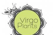 Virgo Plants logo