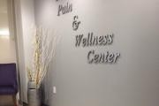 The Pain And Wellness Center logo